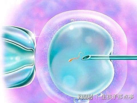成都捐卵医院