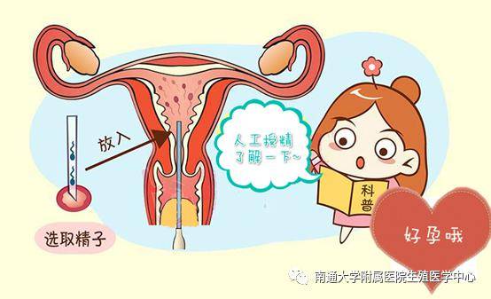 重庆捐卵补偿