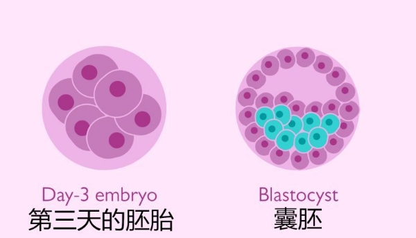 北京三代试管包成功医院