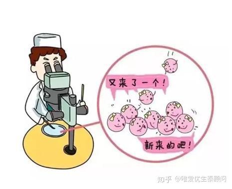 锦州捐卵机构公司