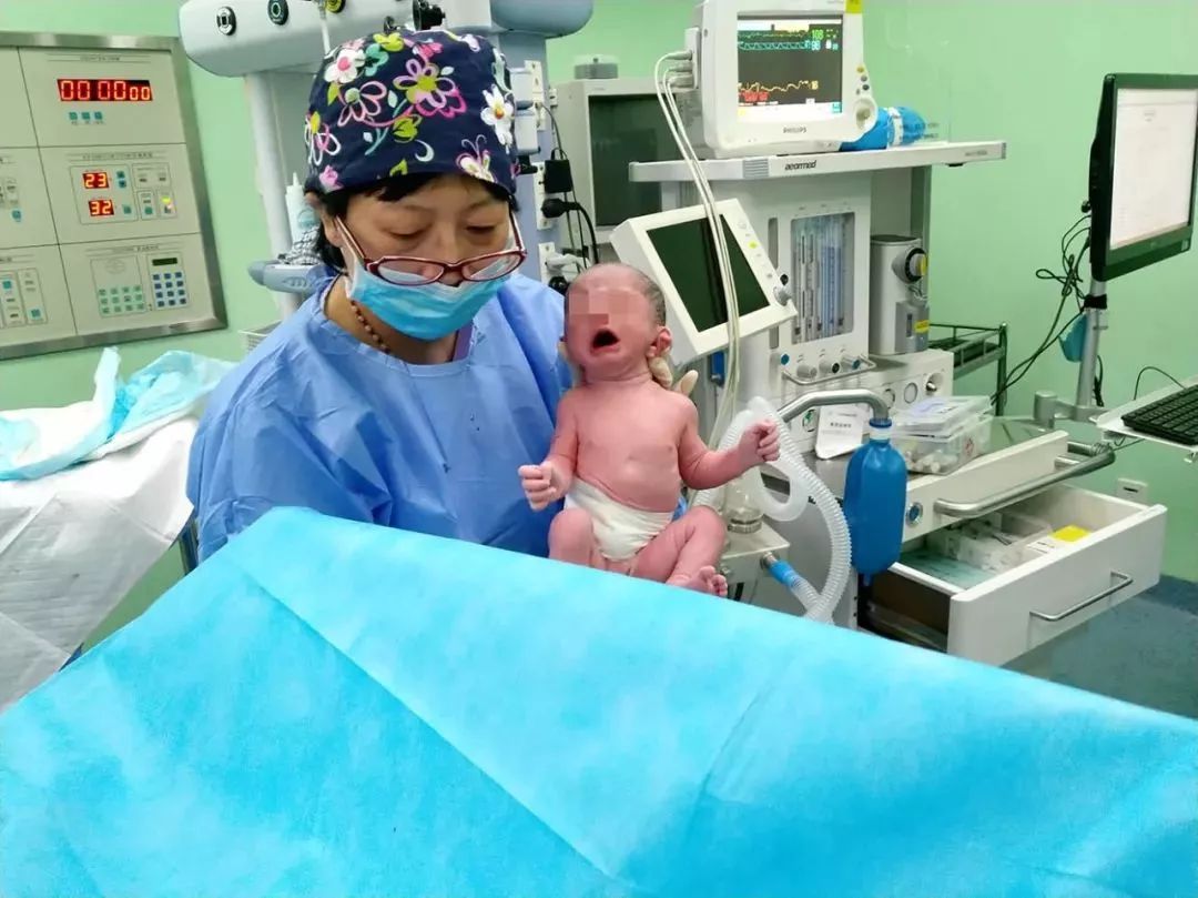 捐卵
