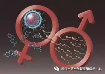 湖州捐卵补偿