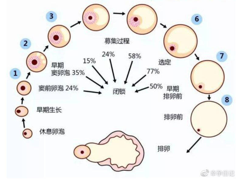 太原捐卵招聘多少钱