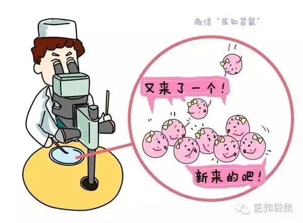 西安助孕公司