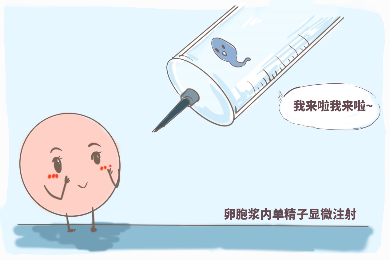 成都