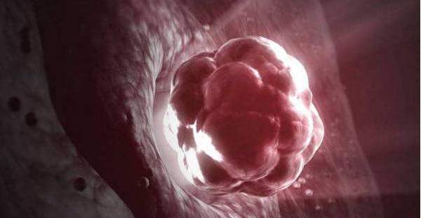 助孕公司联系电话西宁捐卵公司