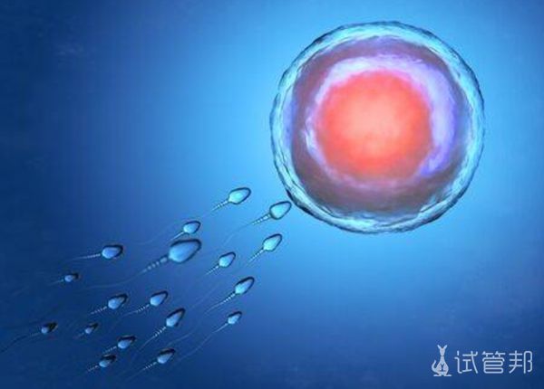 助孕公司联系电话西宁捐卵公司