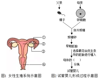 益智小游戏