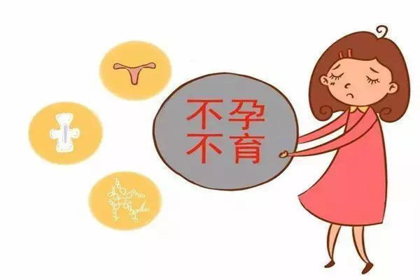 滁州捐卵公司